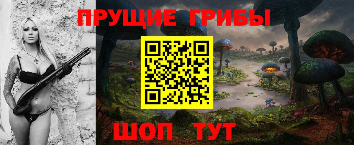 Псилоцибиновые грибы Psilocybine cubensis  Вход с VPN  Петрозаводск 
