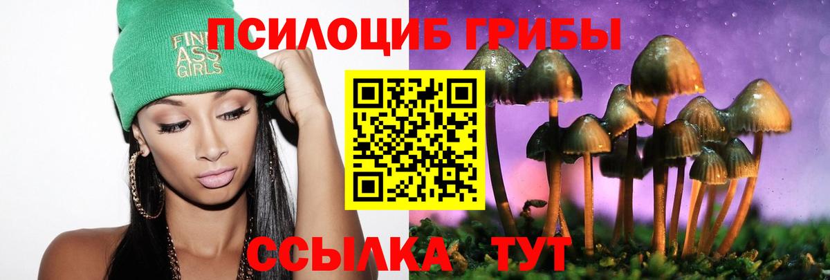 Галлюциногенные грибы прущие грибы Петрозаводск