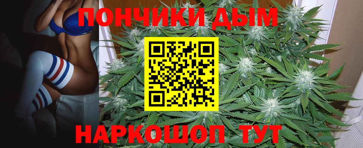 Марихуана план Петрозаводск
